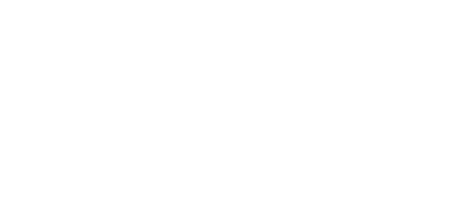QIS logo in white